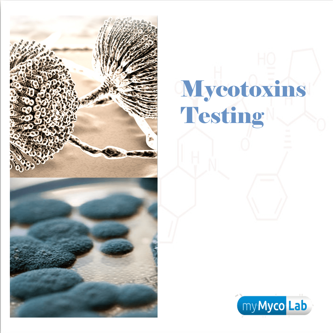 Mycotoxin Blood Test